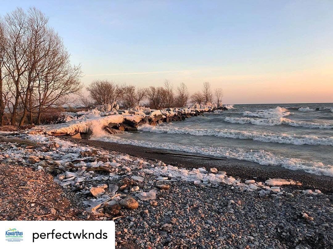 I love this photo, the sentiment and this place I call home. Thanks for posting @perfectwknds 💕 #grateful #home #northumberlandcountyontario @northumberlandt