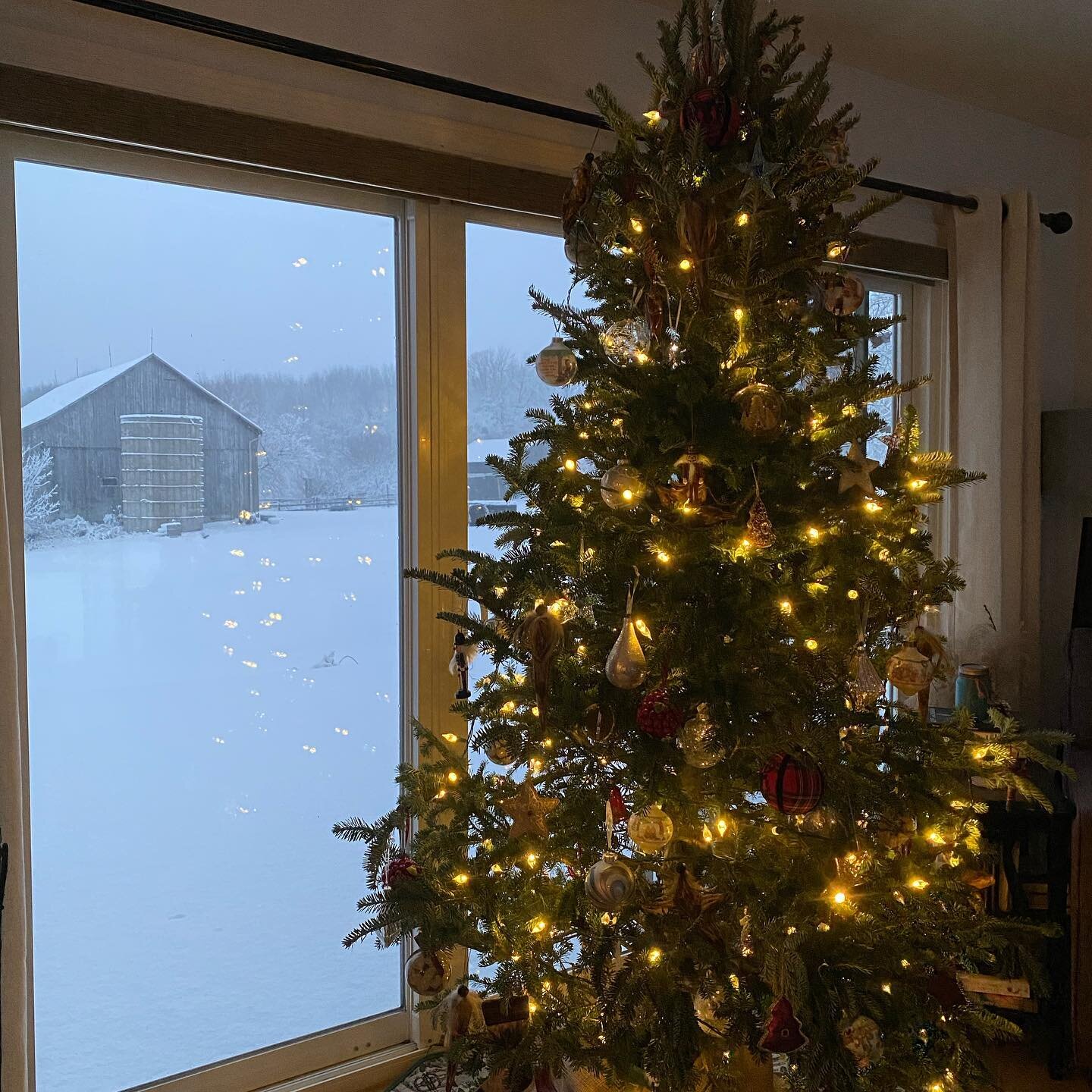 It&rsquo;s beginning to look a lot like Christmas!  I LOVE this time of year at the farm. The snow makes everything sooo pretty. #farmstay #winter #bandb #escape #relax #enjoy #explore #ontariowinter #tistheseason @northumberlandt