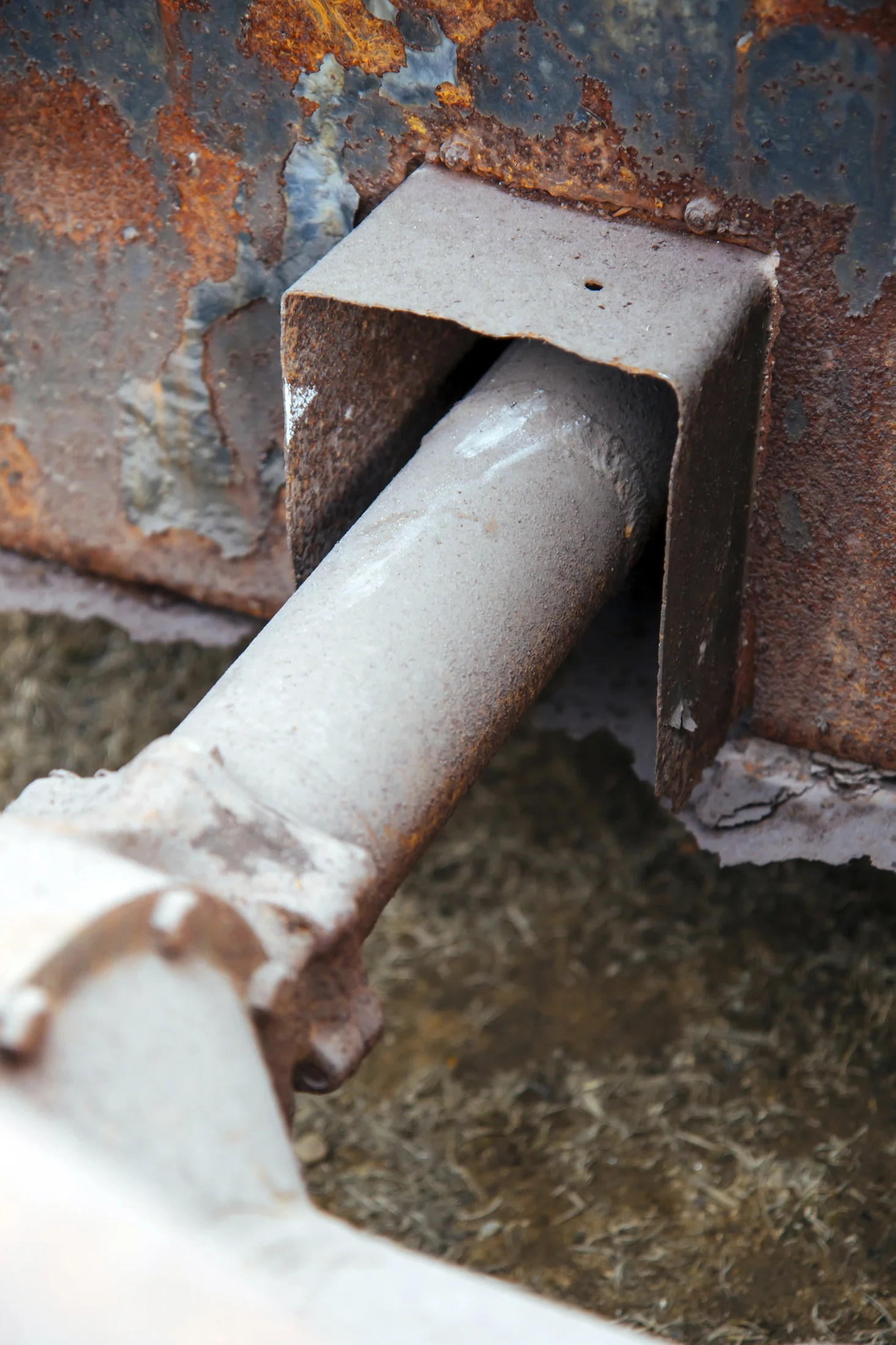 CN5A8080.jpg