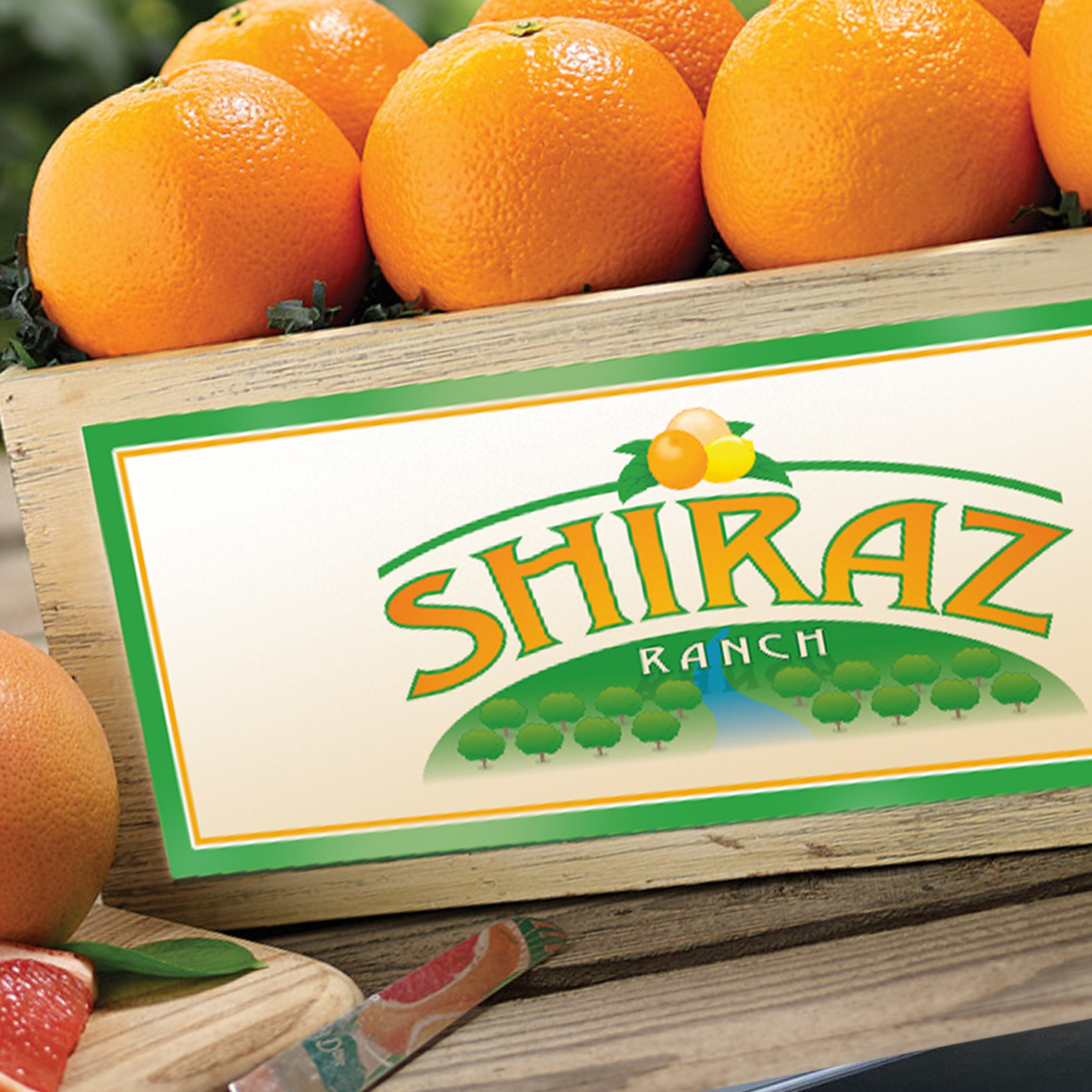 Shiraz_Logo_Square.jpg