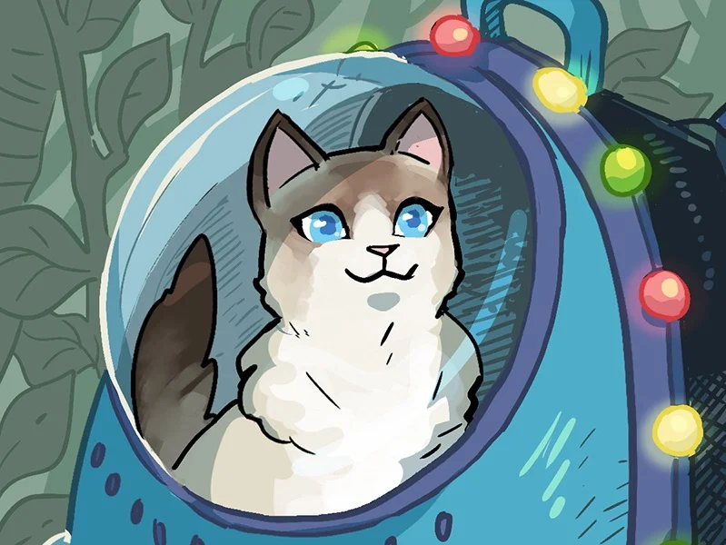 Behind the Comic: Adventure Cats