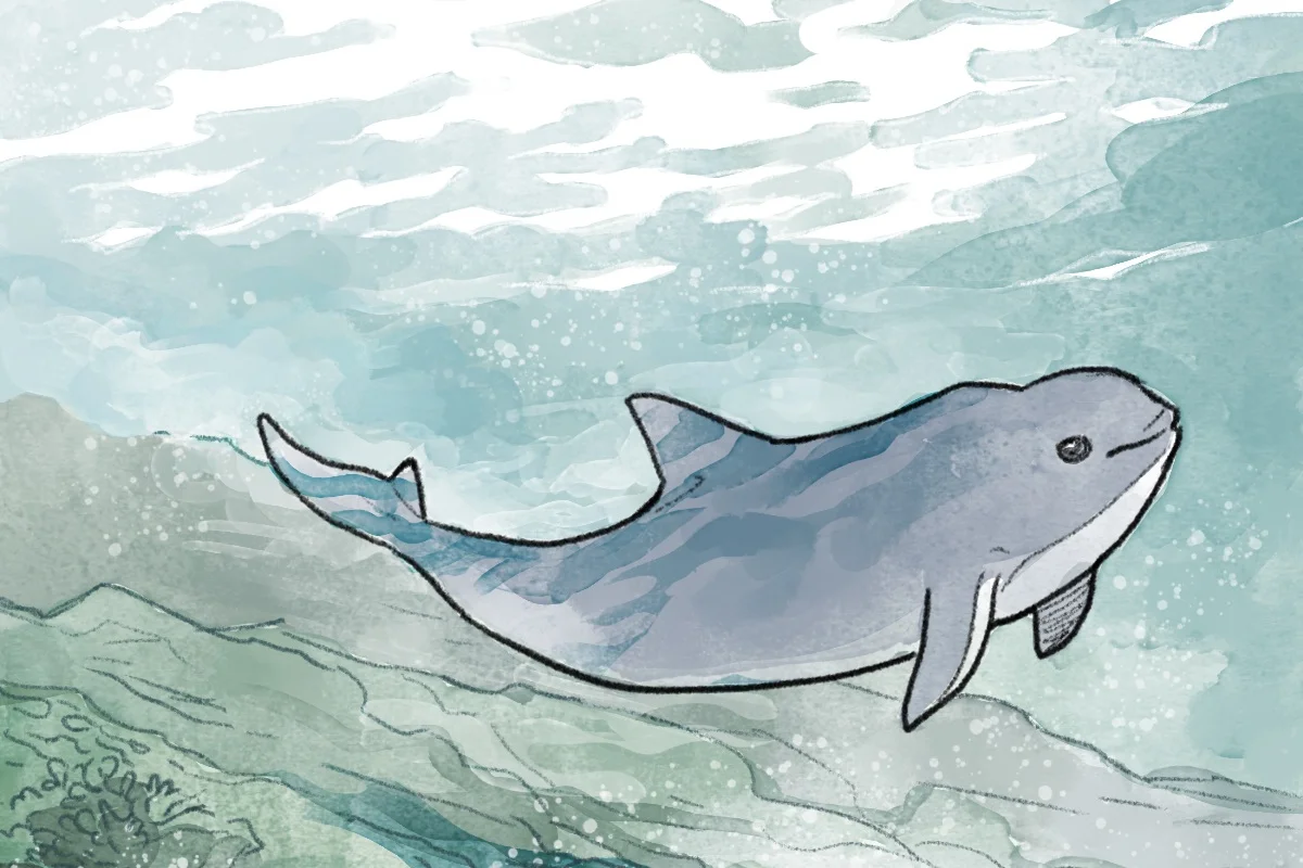Behind the Comic: Sea of Shadows 