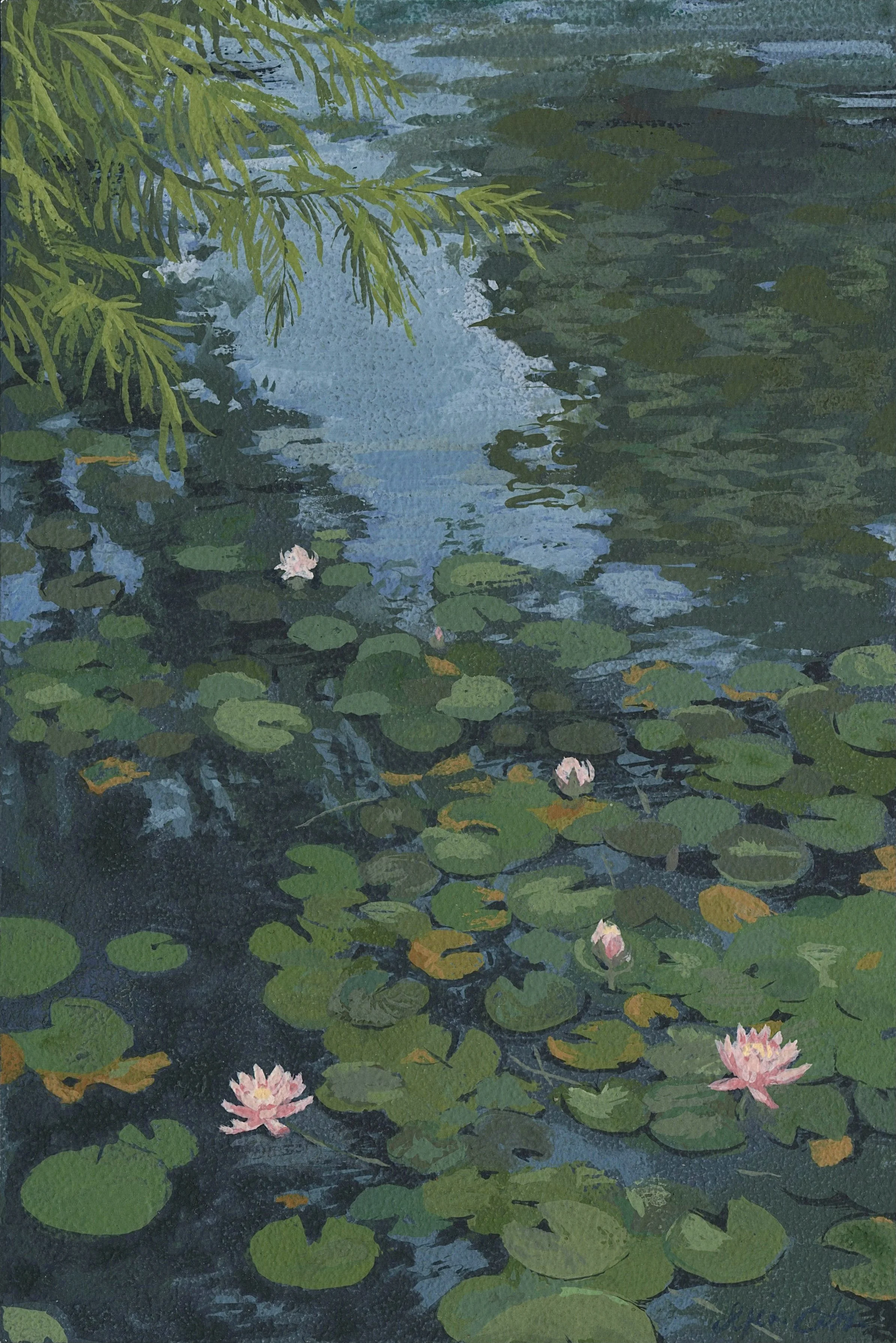 Water-Lillies.jpeg