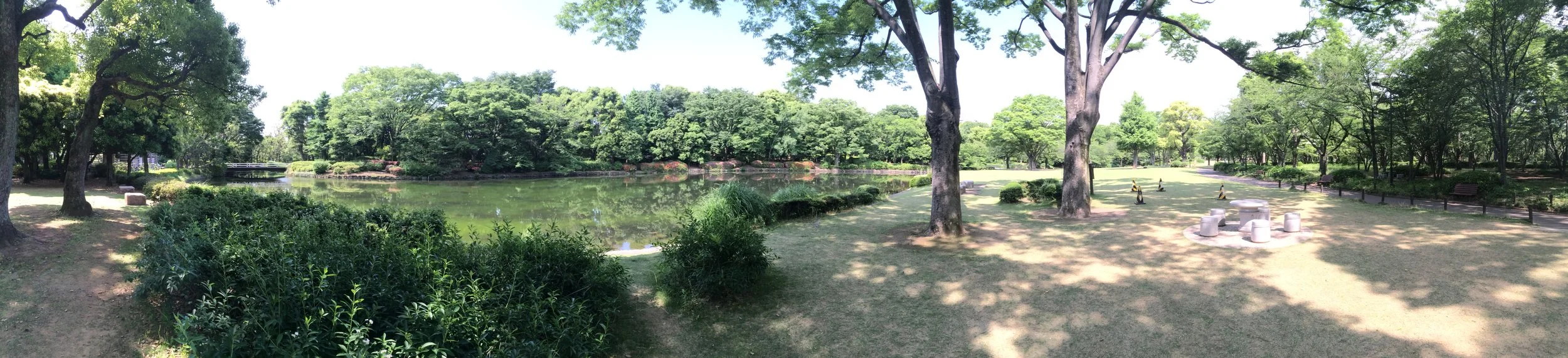20150531_235555359_iOS.jpg