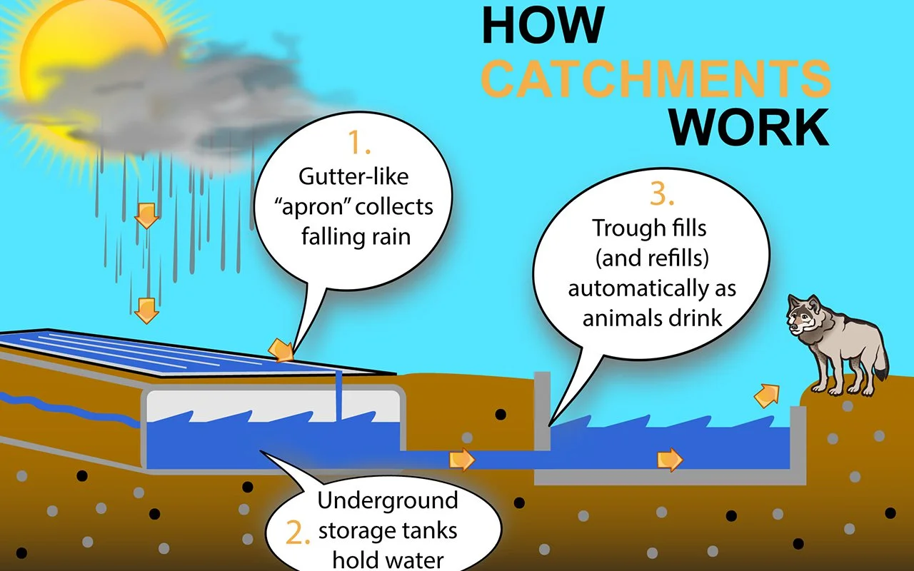 Catchment-Infographic-V1-1280.jpg