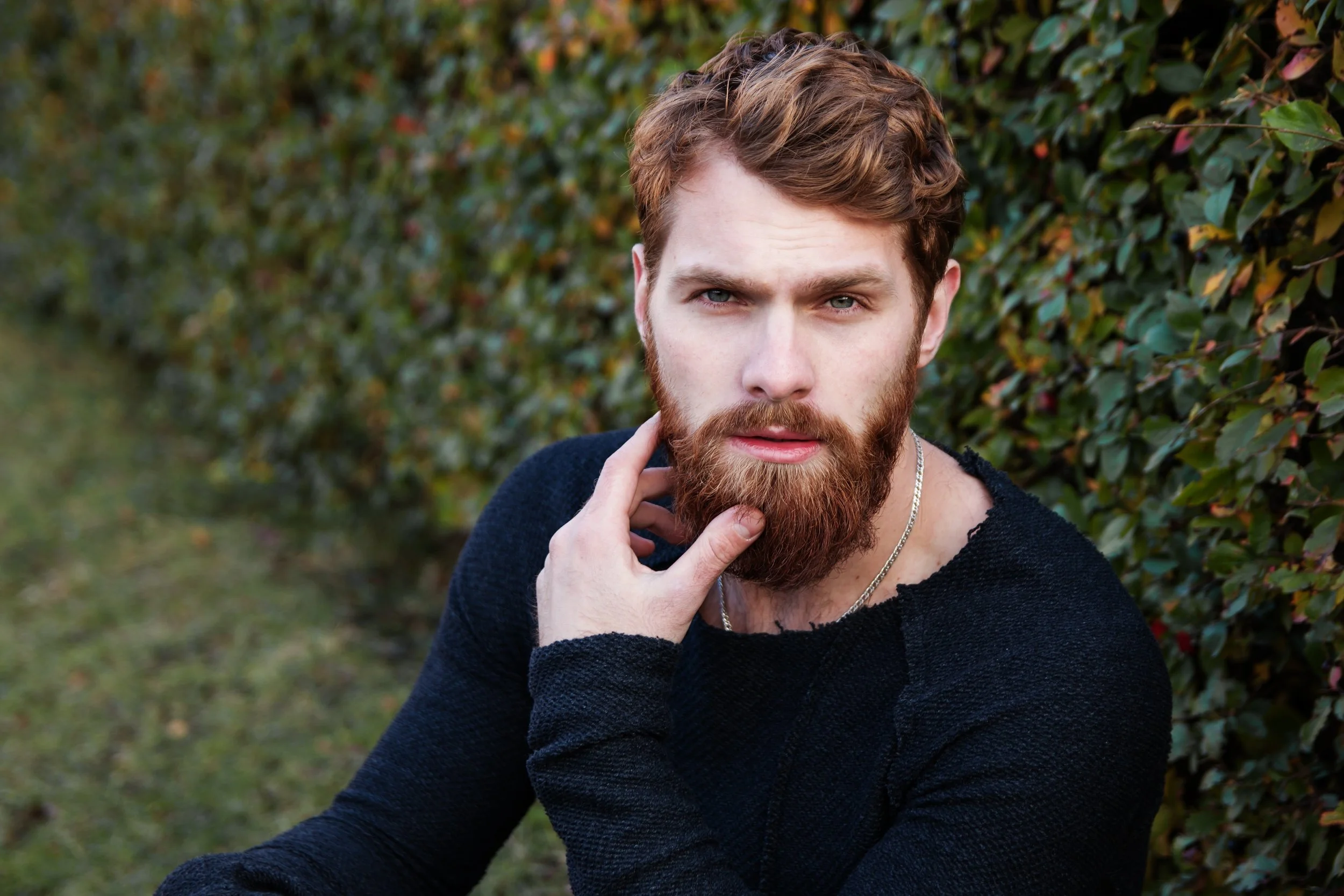 adult-beard-bushes-247917.jpg