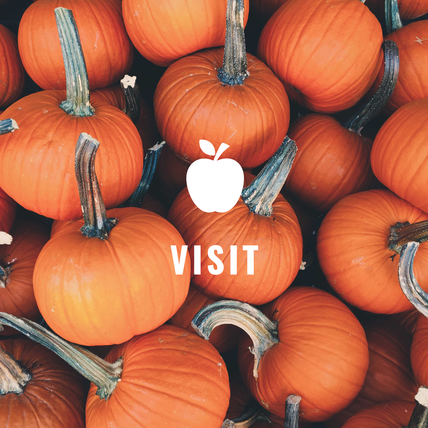 VISIT.png