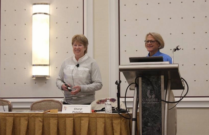 Marianne & Cheryl presenting at the 2018 GCLS.