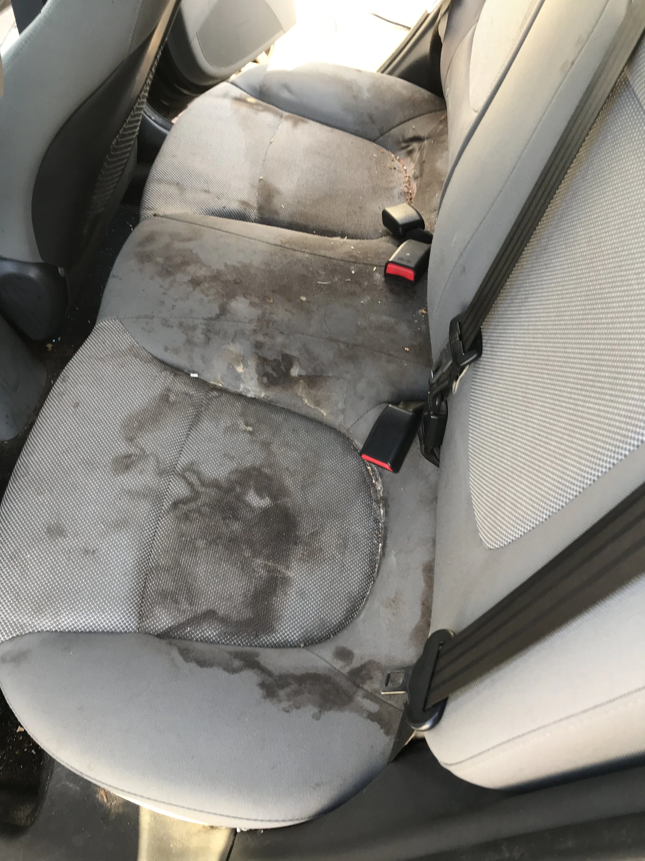 Interior Packages — Steam Pro Mobile Detailing Knoxville, TN