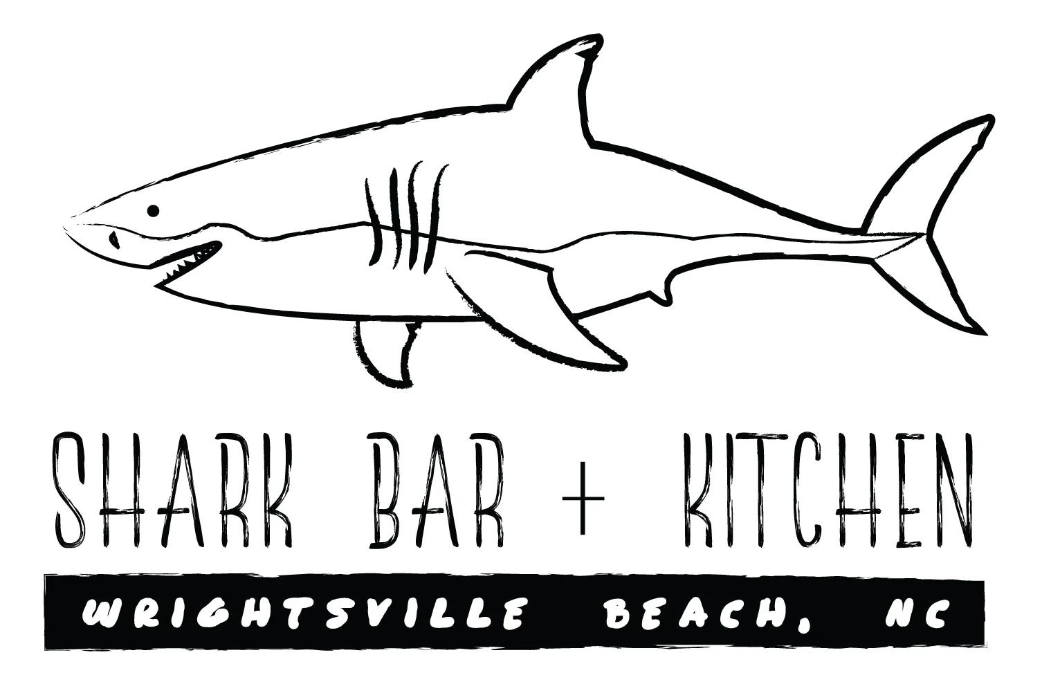 SHARK-BAR-02.jpg