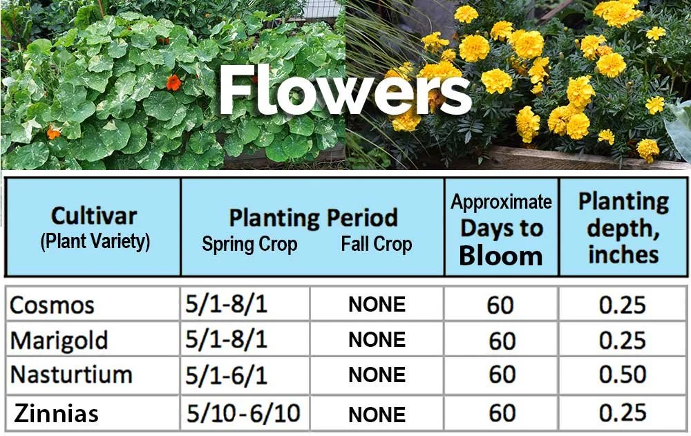 Planting Calendar Climate Zone 5b — Deep Roots Project