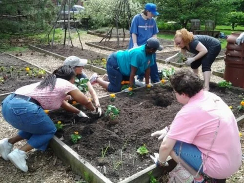 Raised Bed Gardening Workshop