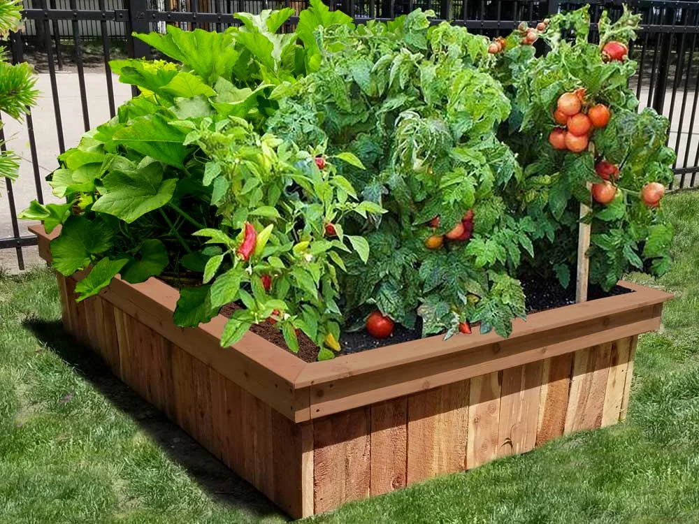 Edible Garden Design Services