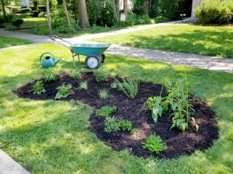 barrel_garden.jpg