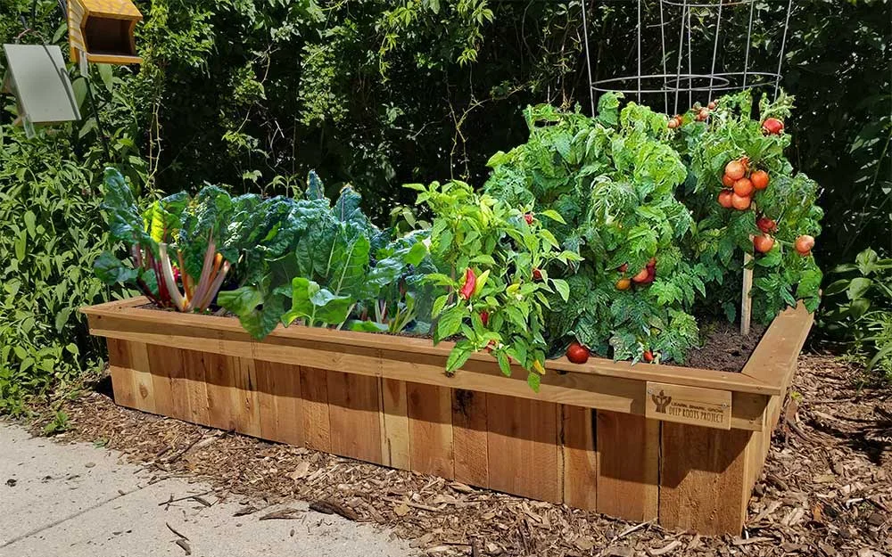 enews7-aug2018-win-garden.jpg