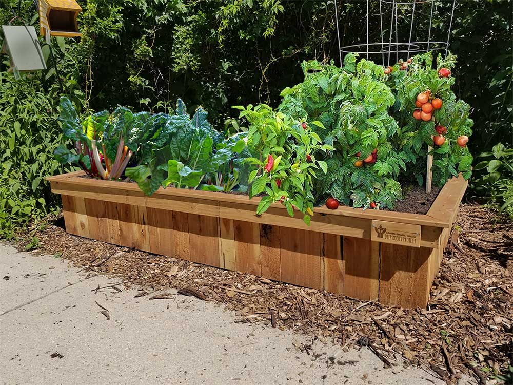 Fully Installed Cedar Raised Bed With, Best Raised Garden