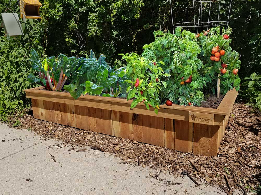 Fully Installed Cedar Raised Bed With Soil Deep Roots Project Fully Installed Cedar Raised Bed With, Best Raised Garden