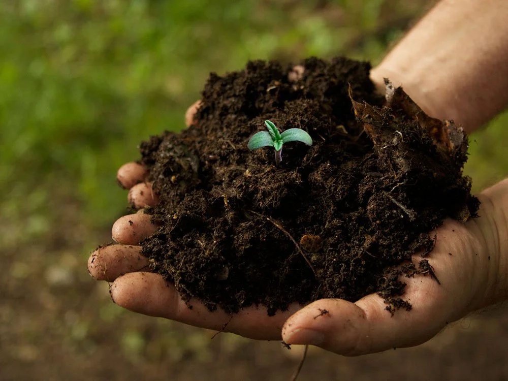 Dense Leaf Mulch in Bags