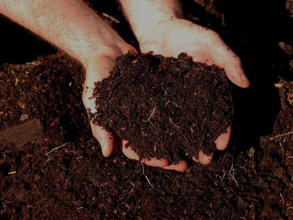 Microbe Rich Compost (Bags)
