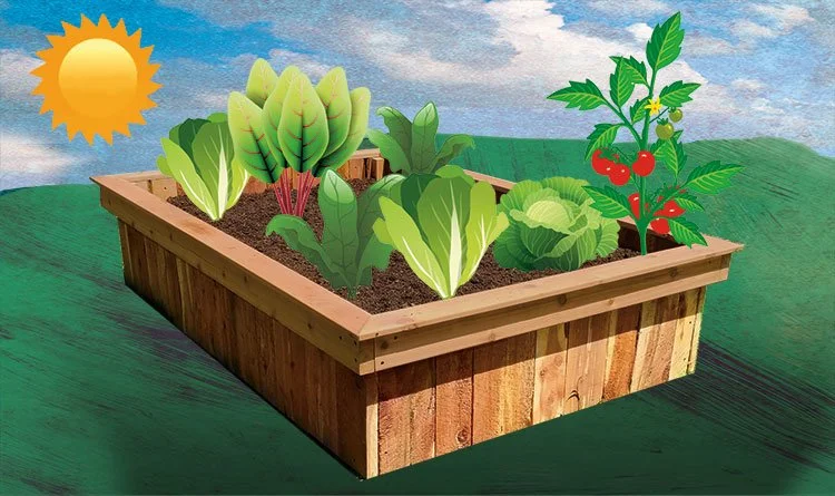 Grow Your Own Food: Introduction