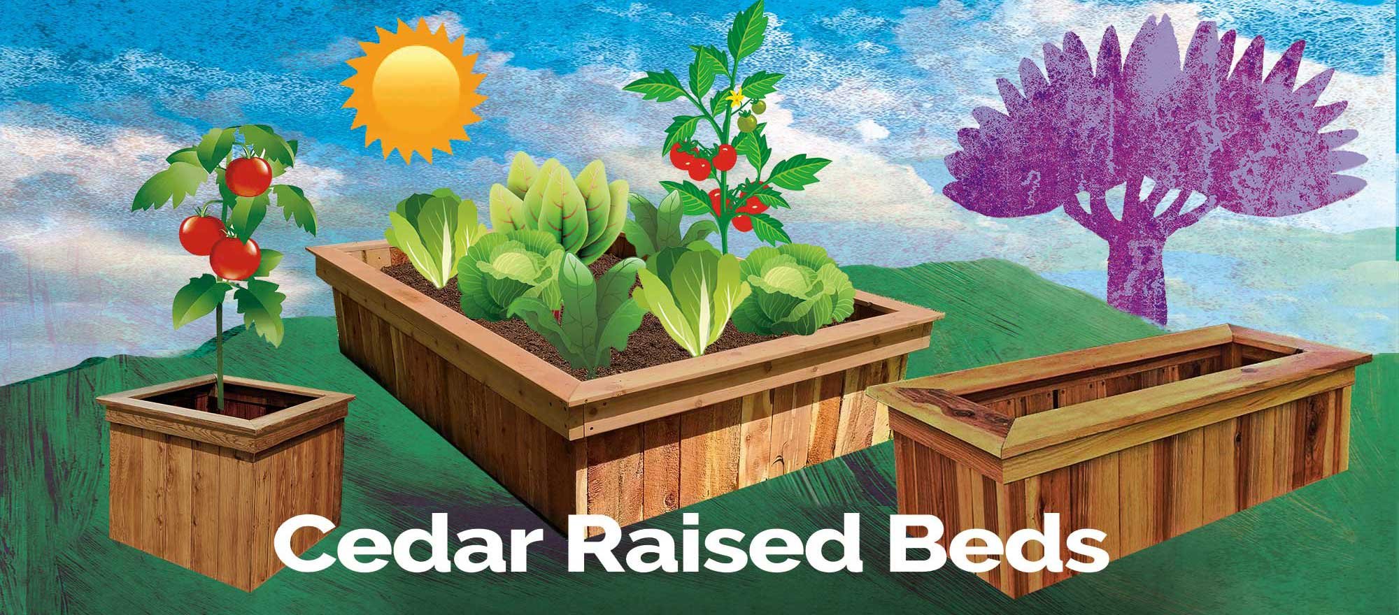 DRP-Home-Raised-Beds-Banner2-2000x880px.jpg