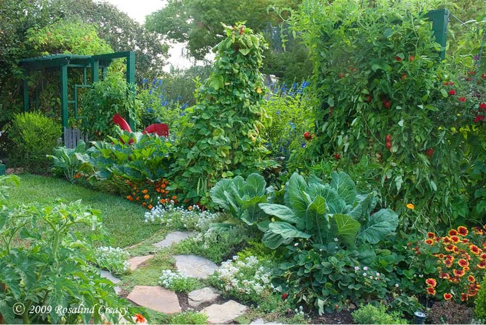 Your Garden Is a Bio-diverse Community Landscape