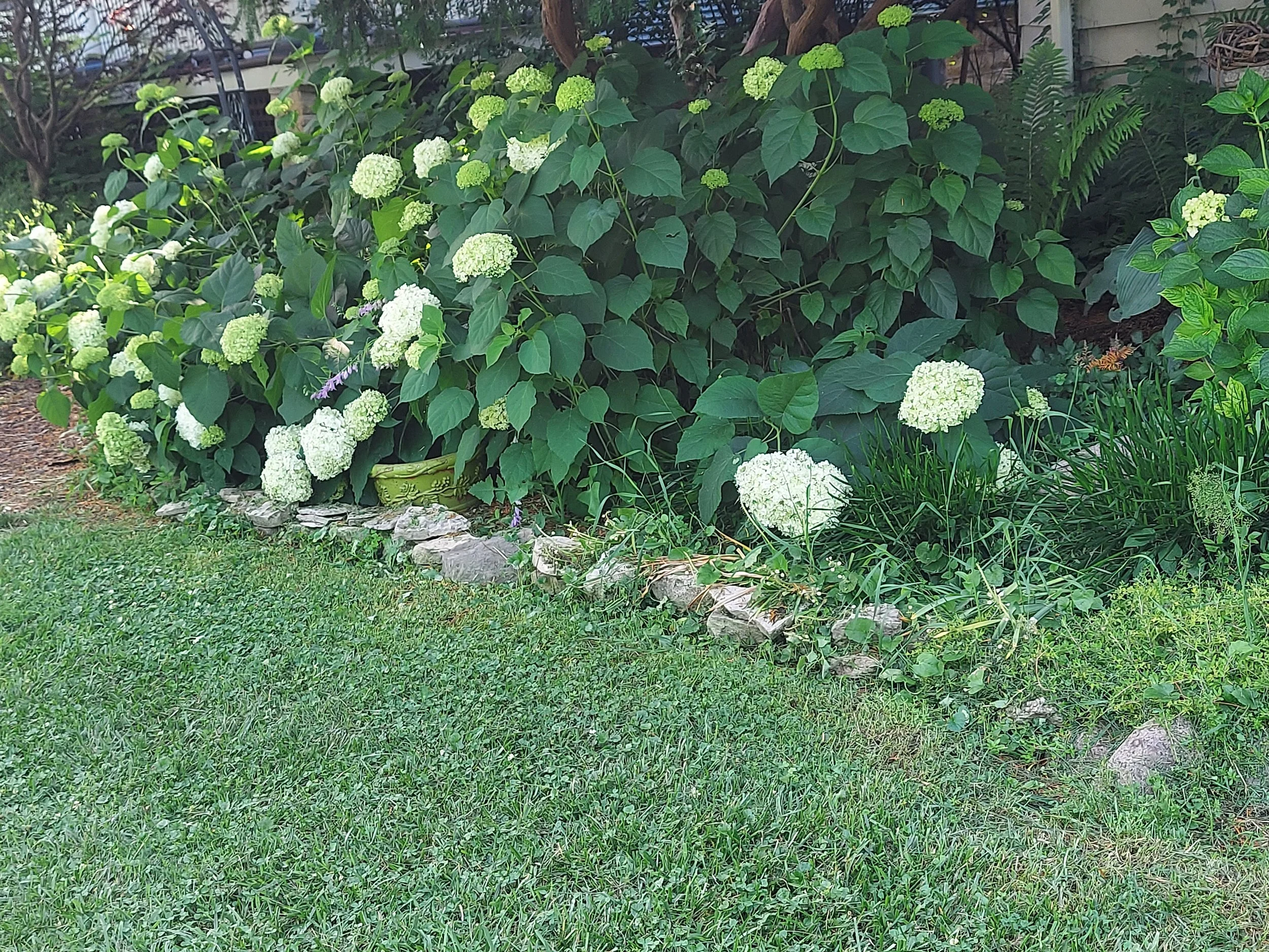 20250625_161759.jpg