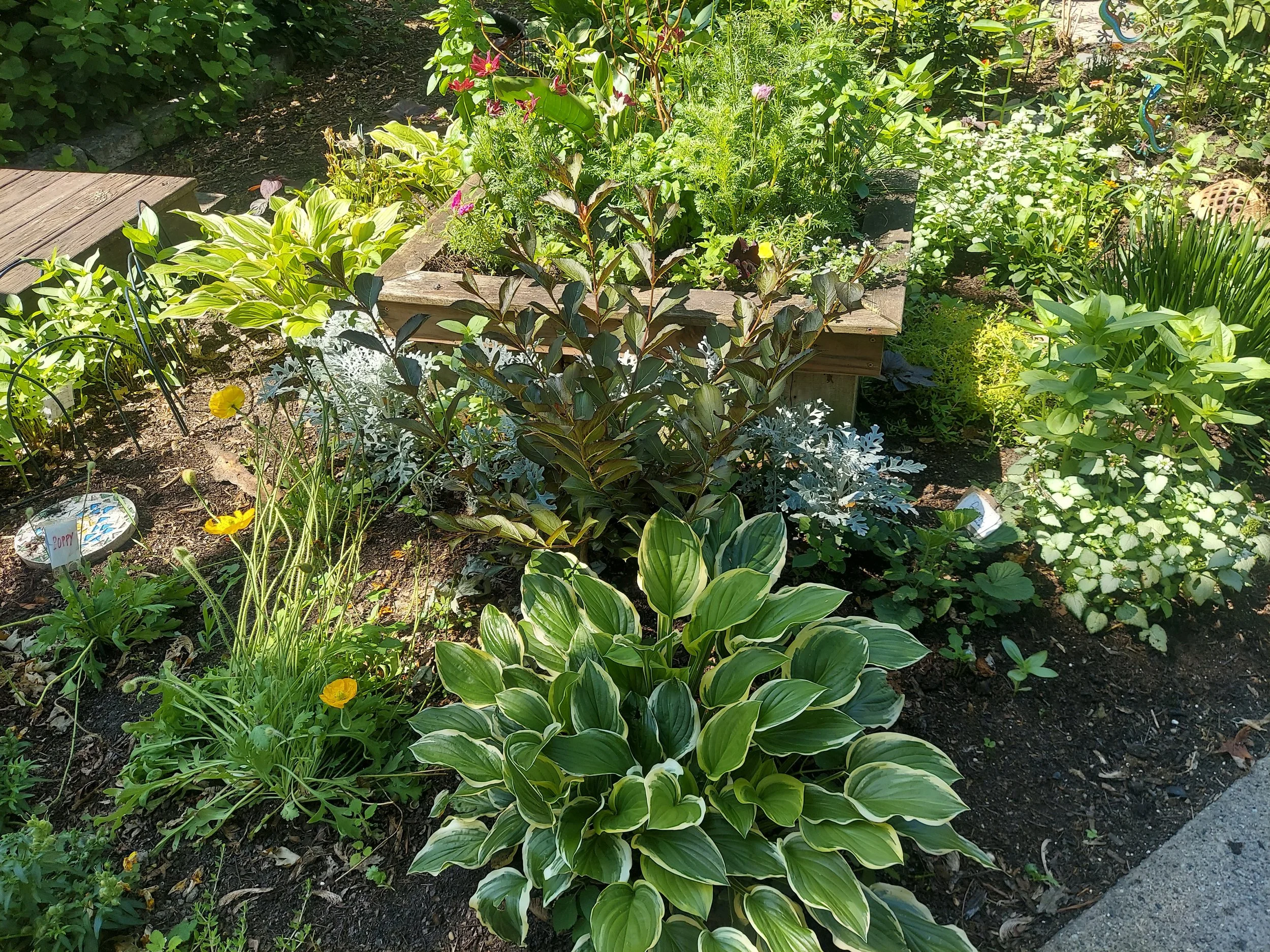 20250628_105832.jpg