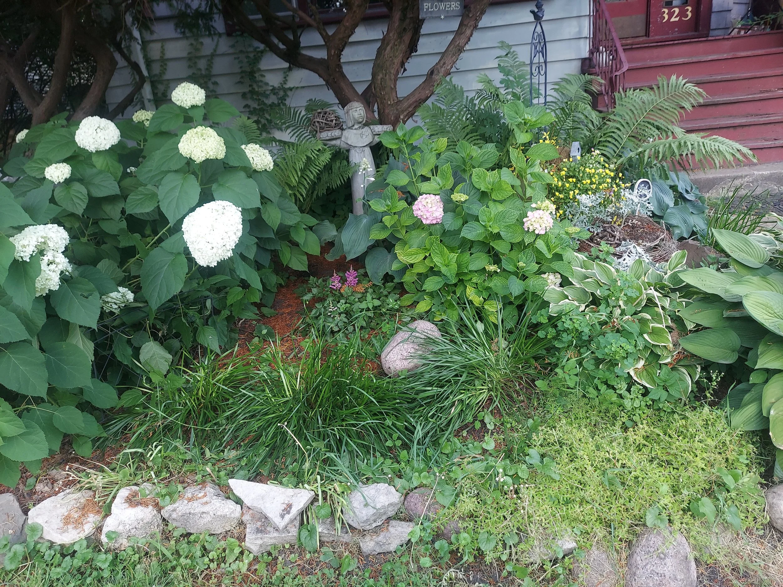 20250701_175319.jpg