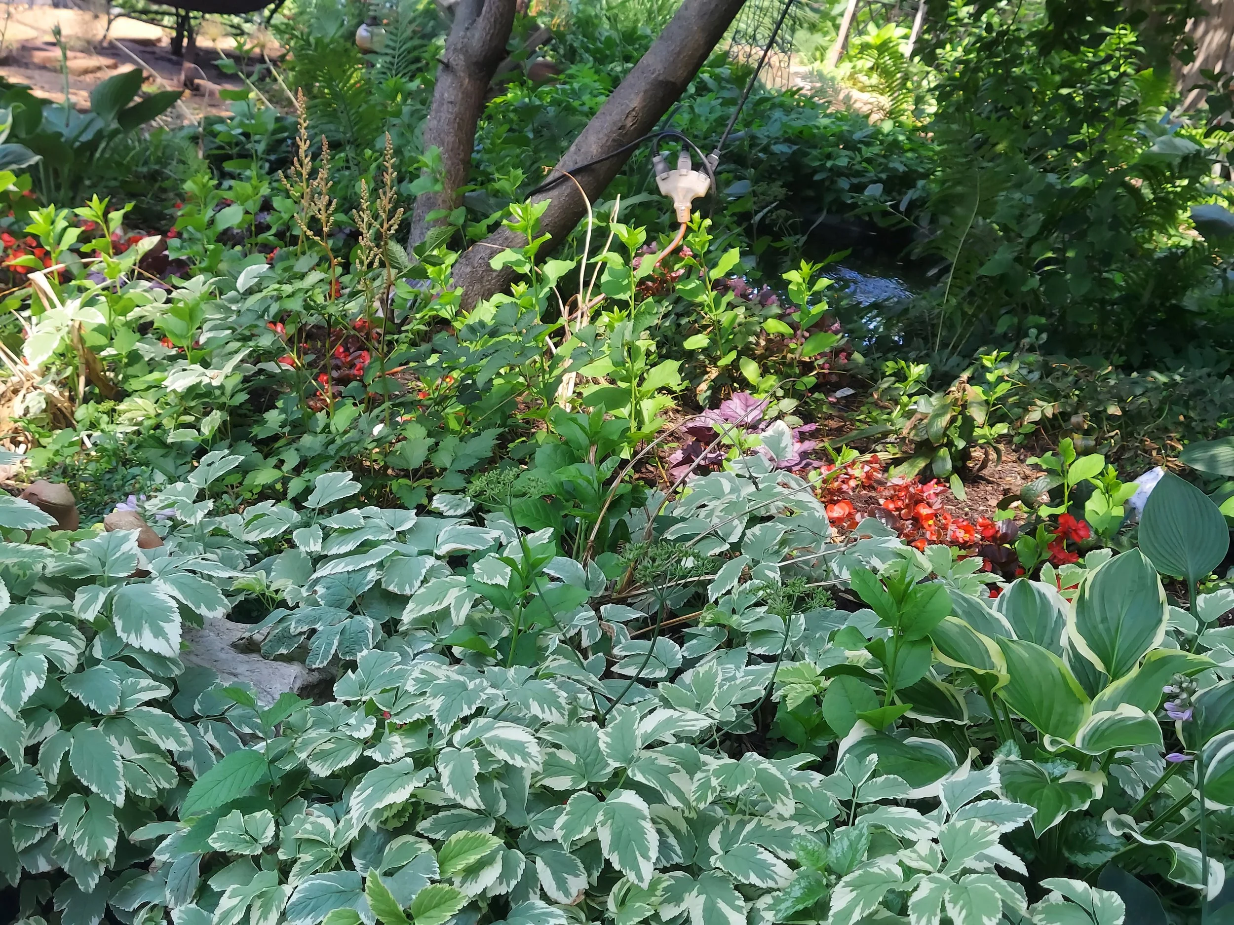 20250628_110507.jpg