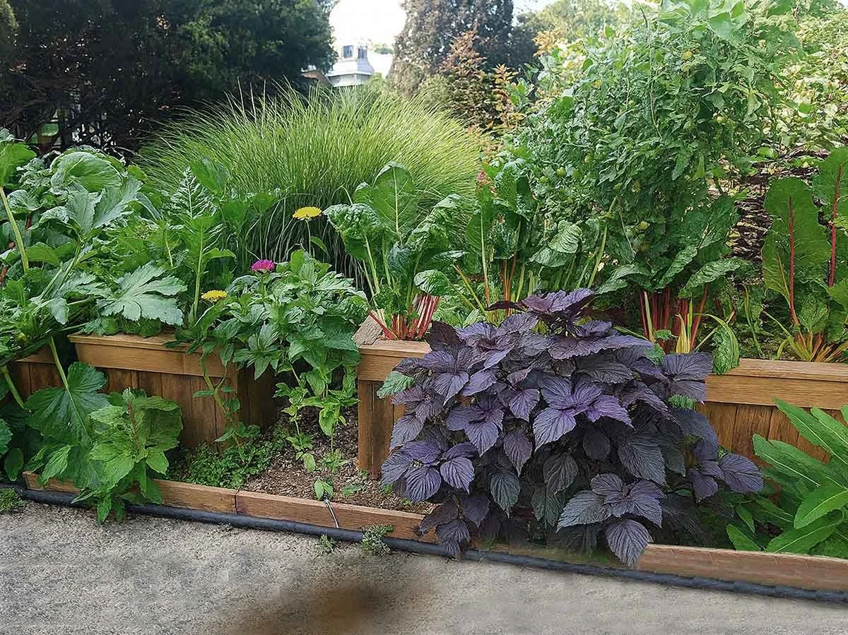 Deep Roots Transformational Gardening - Oak Park Library