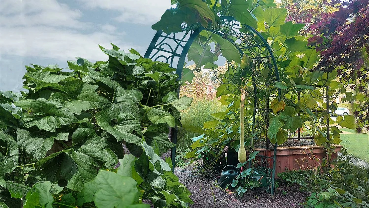 Garden Planning &amp; Seed Swap Event - Oak Park Library