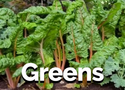 Leafy Greens Planting Calendar