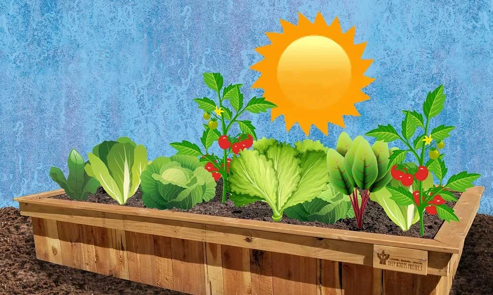 Managing a Short Heat Wave