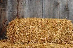 Straw Available Now - Garden Heat Protection