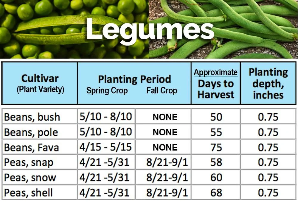 Zone 5b Vegetable Planting Calendar 