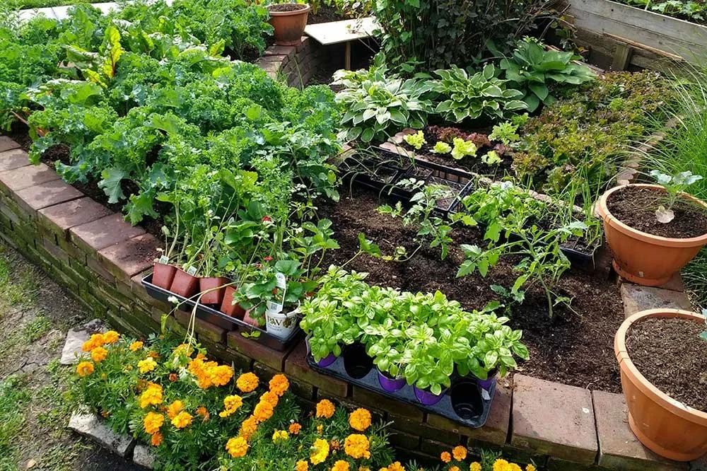 On-site Garden Consult