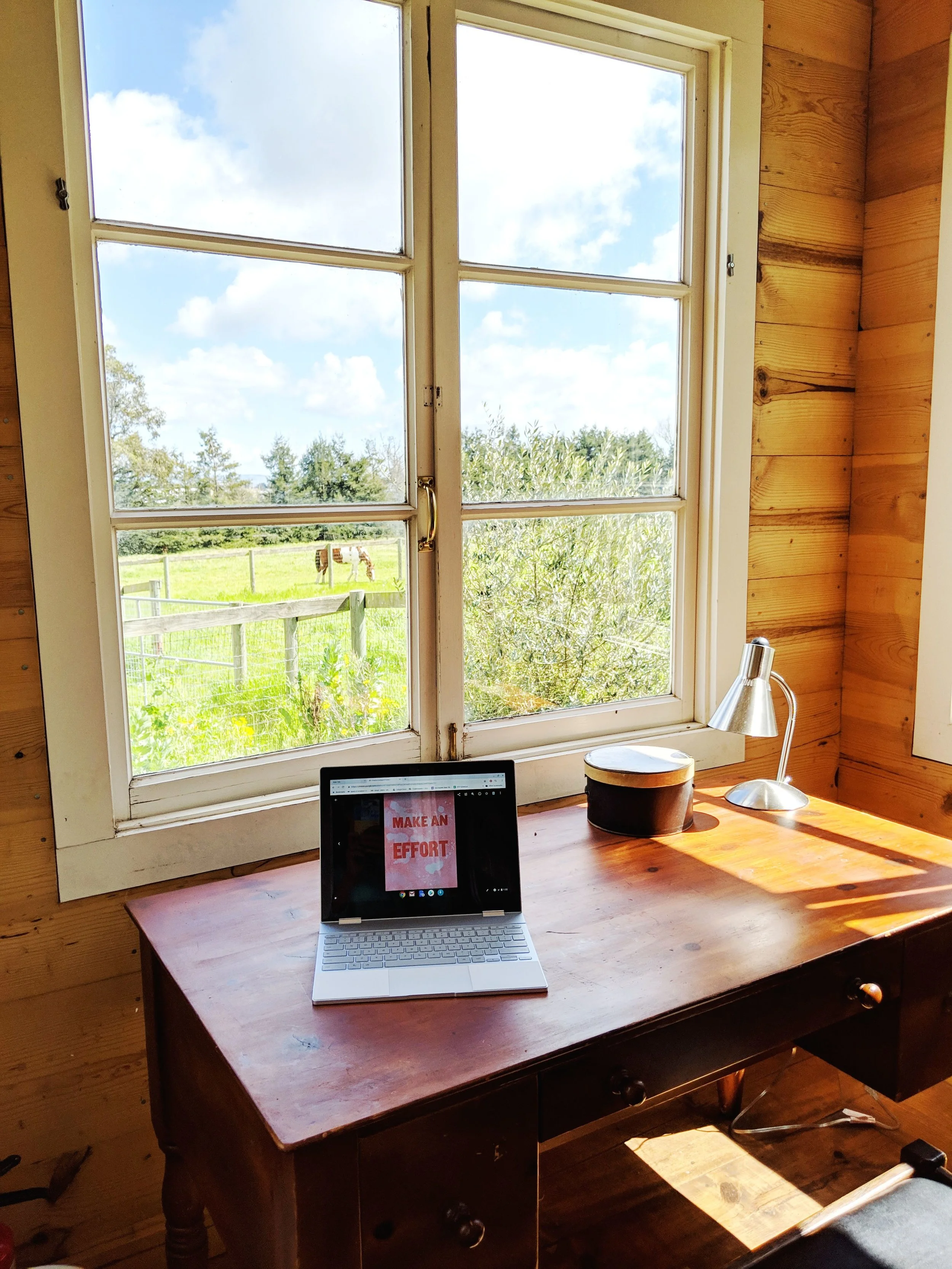 View from the Writing Cottage