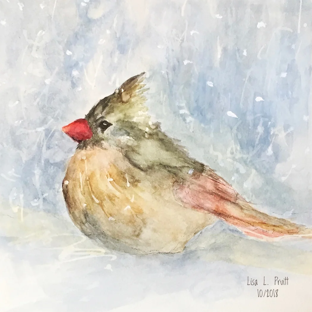Snowbird, original watercolor, 6 x 6” SOLD but prints available
