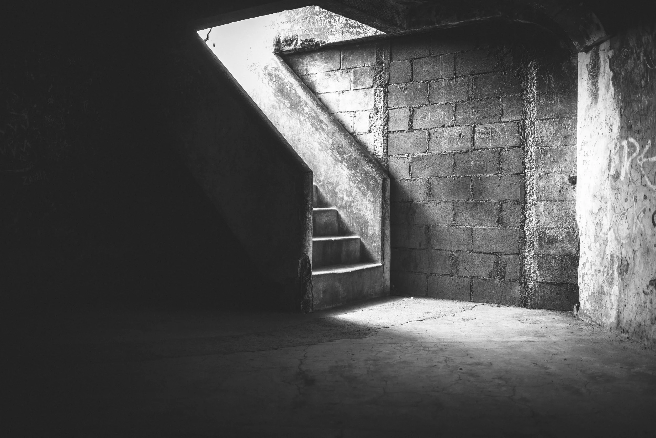web-2836.jpg
