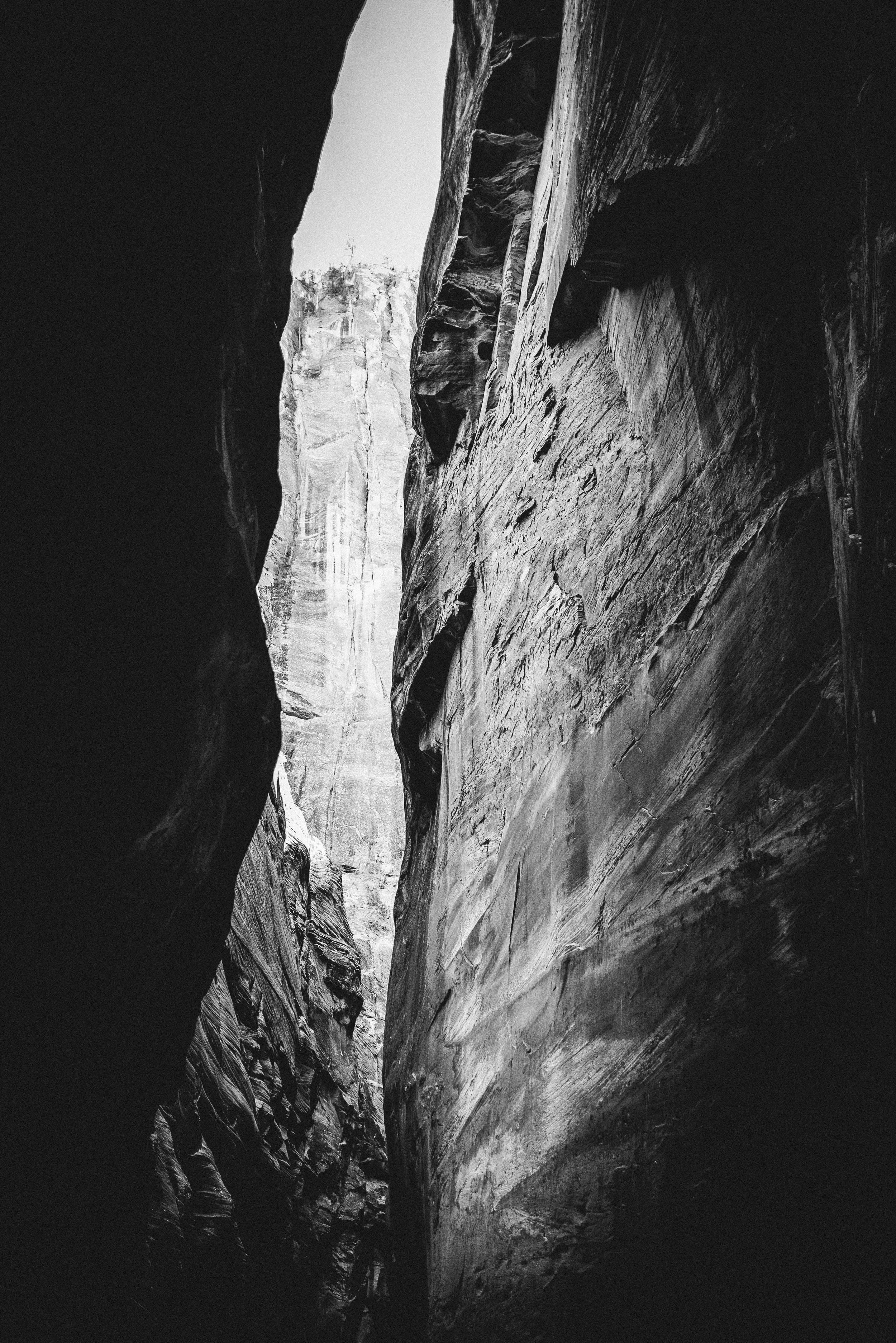 web-0865.jpg