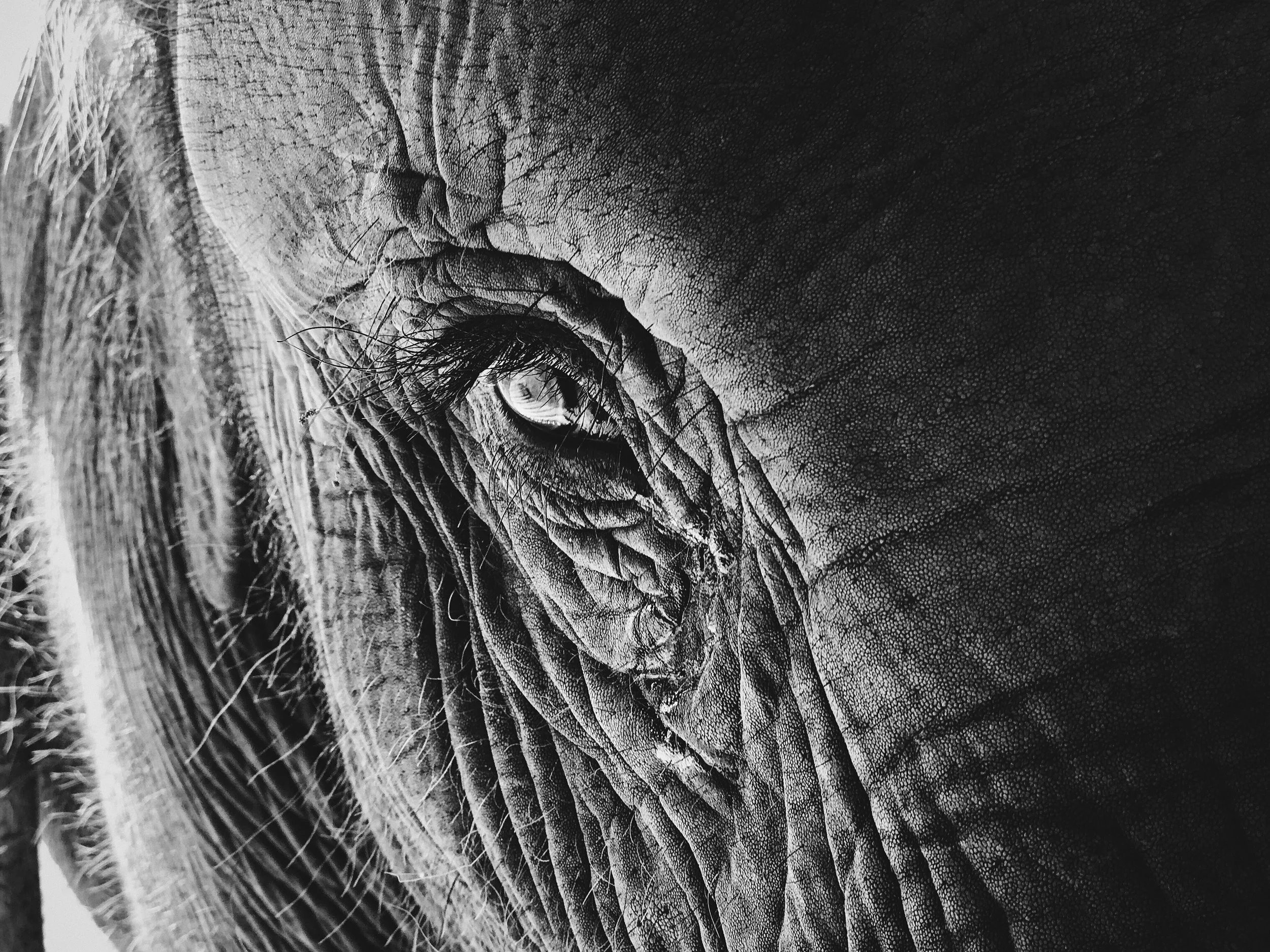 Shot on iPhone 8 Plus