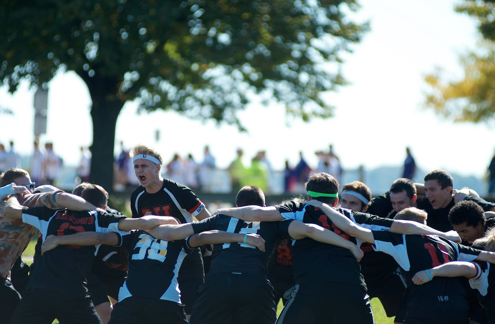 Screen Shot 2017-02-18 at 8.05.48 PM.png