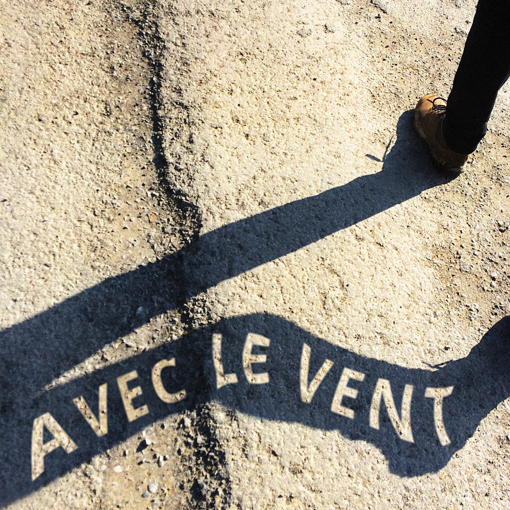 Avec le vent - Visuel.jpg