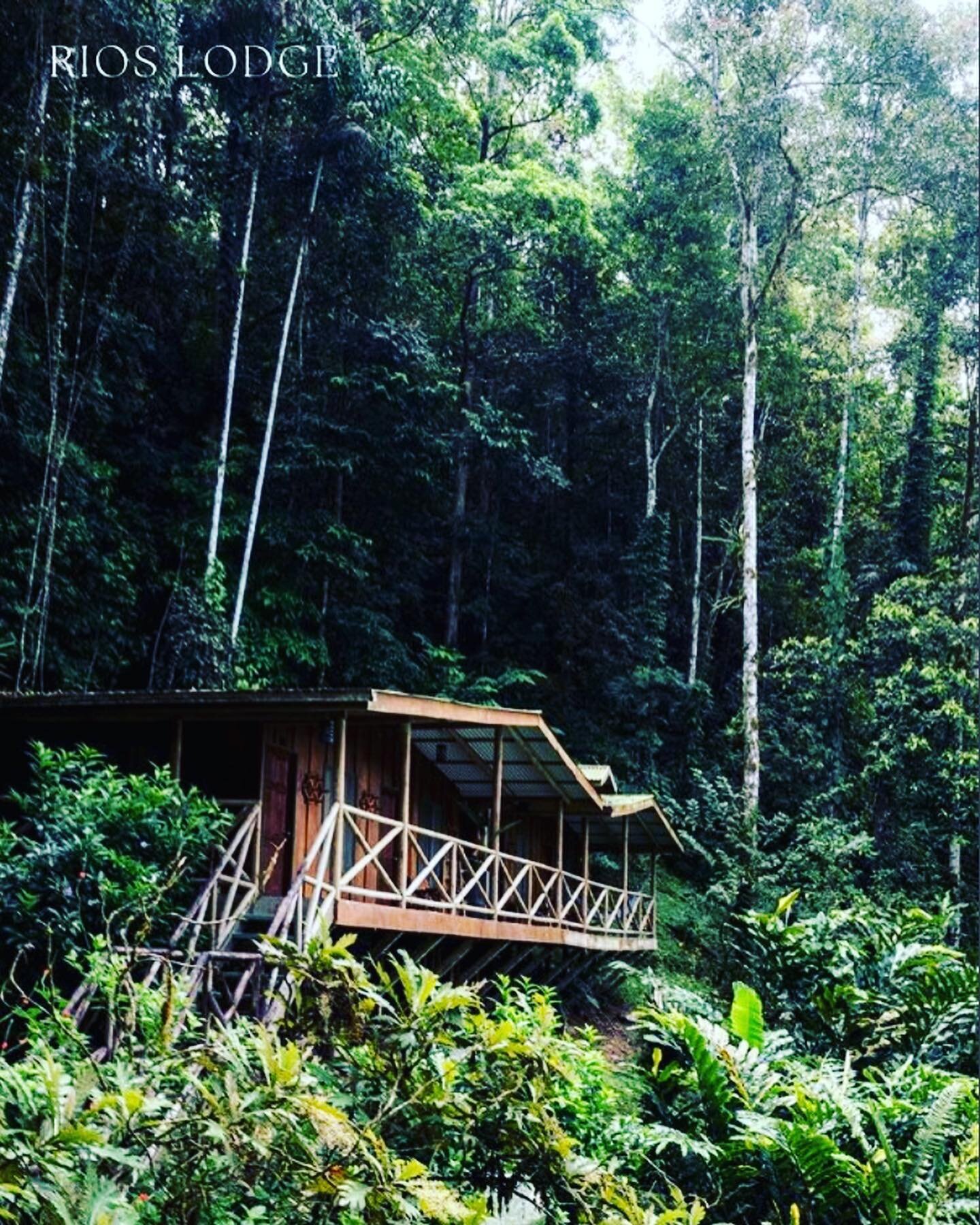 Yes, it&rsquo;s isolated which is all part of Rios Lodge&rsquo;s endearing charm. The pure thrill of staying at a remote off-the-grid lodge in the deep rainforest, on the banks of the mighty Pacuare River is utter bliss. The constant roar of the rive