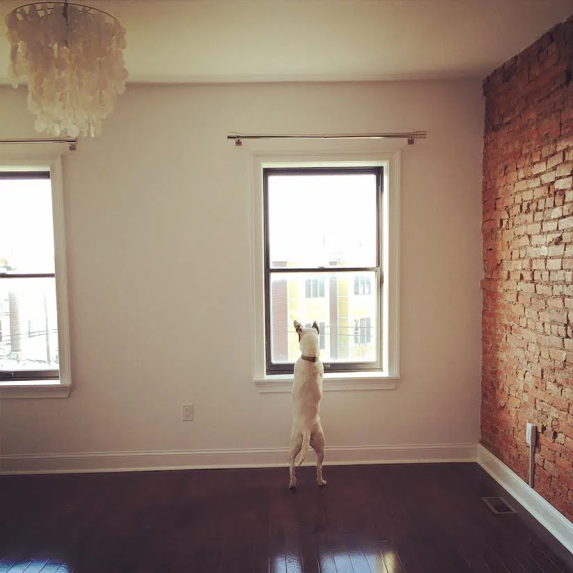 bedroom.jpg