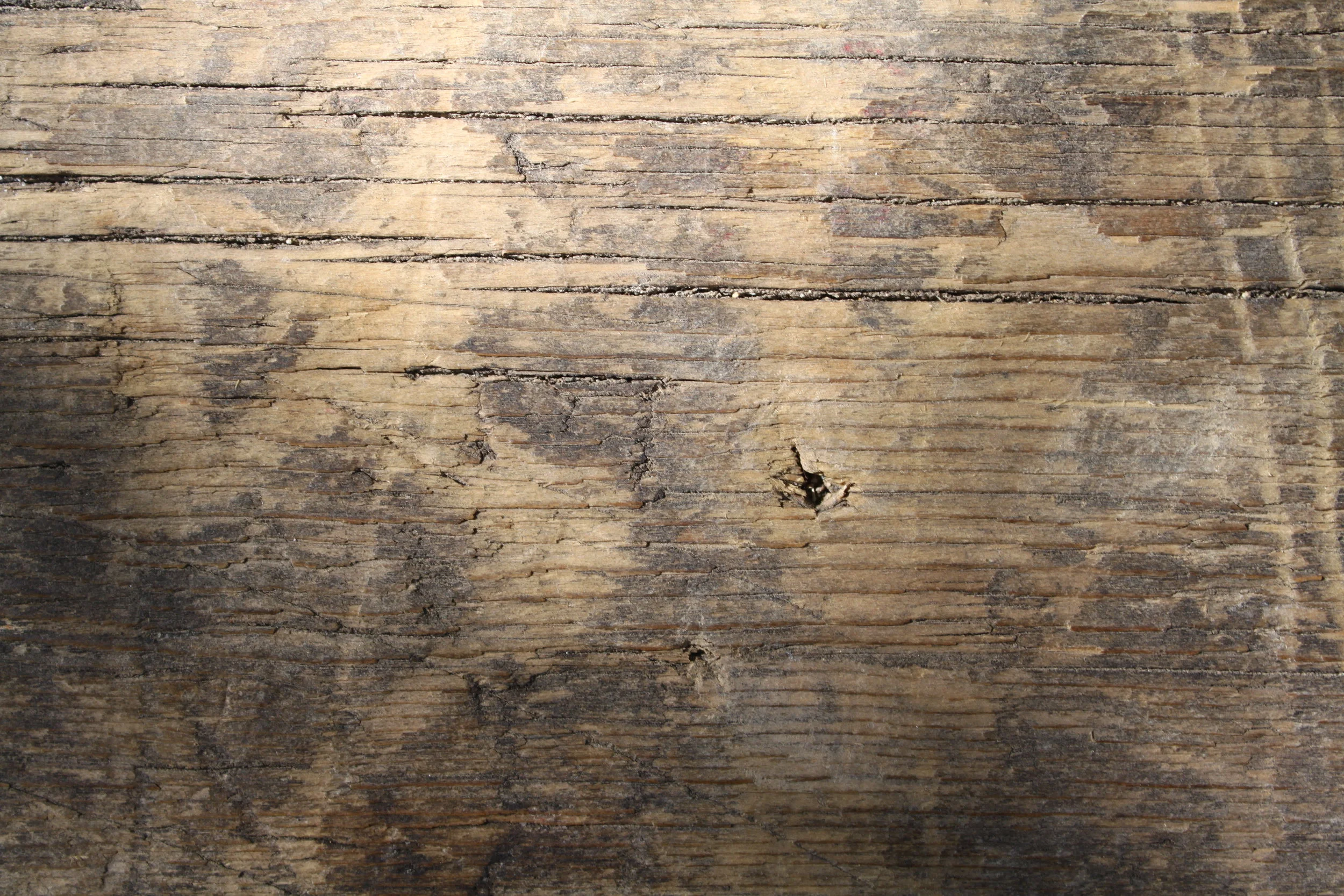 wood background 2.jpg