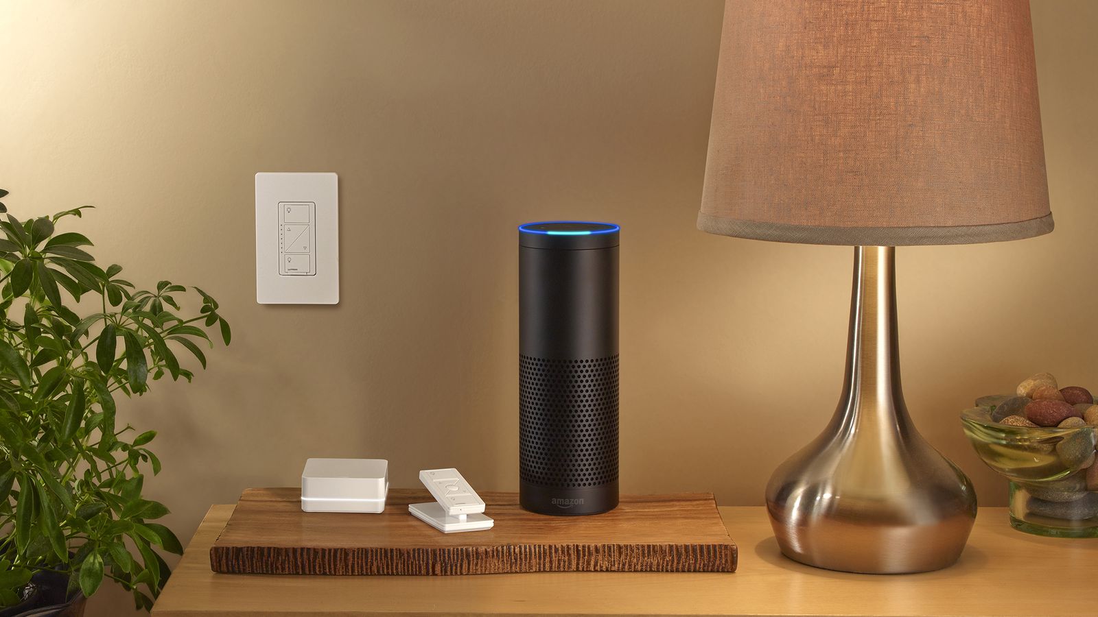 Dim your lights when the day is bright or lower your blinds to use your air conditioning less by blocking the sun from heating up your home... And now you can do it with just your voice