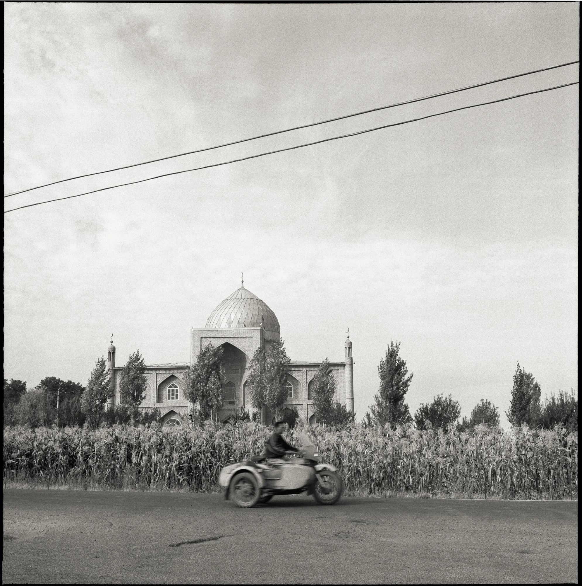 Amadeo Lasansky - Lost Luggage
