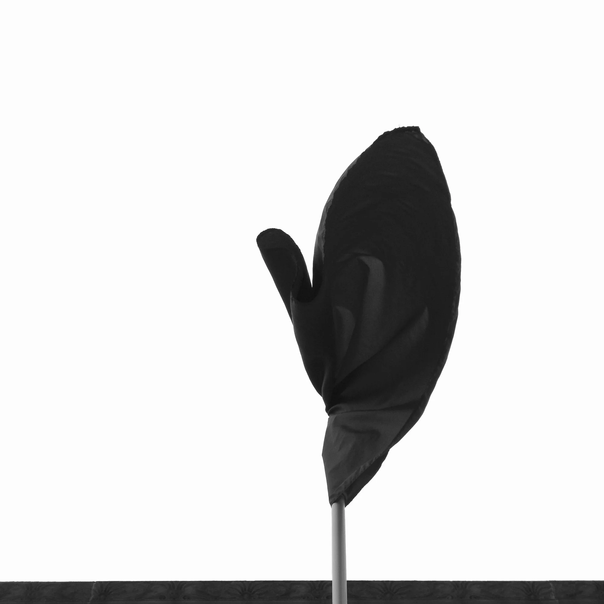 Amadeo Lasansky - Mitten - Flag Series
